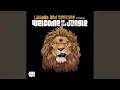 Download Lagu Welcome To The Jungle (Continuous DJ Mix)