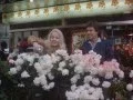 Download Lagu Alice / Alicja (1982)