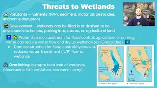 AP Environmental Science 8.4 - Human Impacts on Wetlands