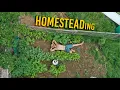 Acre Homestead - Year One