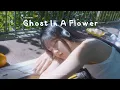 Lagu Yorushika - Ghost In A Flower (꽃에 명령) Covered by HANEUL | HANEUL's Daily Jpop Playlist ☀️🌻