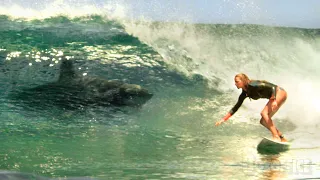 most intense moments from the shallows thatll make you stay out of the ocean for good 4k