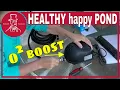 How to Improve Pond Water Quality with an Aerator - Unbox and Review
