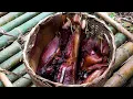 Lagu Nutritious wilderness meals from a big wild boar | 365 Days of Survival in the Deep Forest | Ep 12
