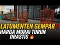 Download Lagu LATUMENTEN GEMPAR ‼️ MURAI PROSPEK LOMBA HARGA TURUN DRASTIS🔥