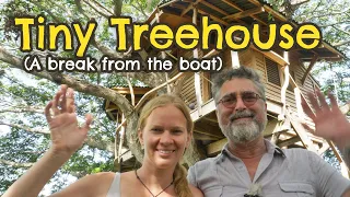 Tiny Treehouse: Great Views, Dangerous Creatures