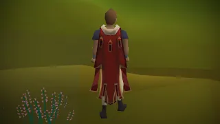 I Am De-Ulting My 10 300 Hour Runescape Account