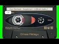 Noer Halimah - Tungkeripit - [ Official Audio ]