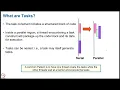 Week 4 Lecture 4 OpenMP Memory Model Irregular Parallelism and Tasks