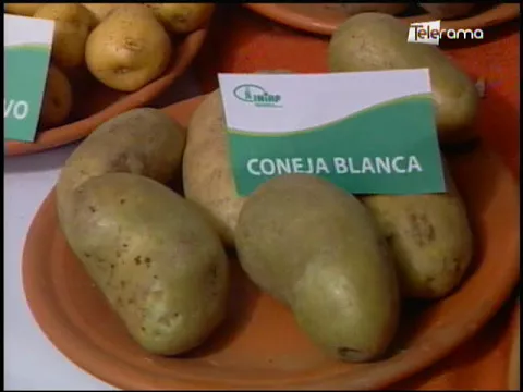 Ecuador Agropecuario 25-10-2017