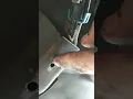 2003 Chevy Impala Downstream O2 Sensor