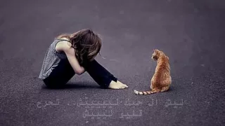قلبي احترق   حسين الشيخ دندنها