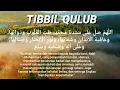 Download Lagu Sholawat tibbil qulub 1 Jam nonstop