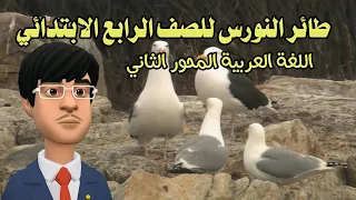 طائر النورس اللغة العربية للصف الرابع الابتدائي المنهج الجديد الصف الرابع 