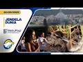 Download Lagu Jendela Dunia - Perayaan Hari Yoga, Hingga 4 Anak Bebek Langka [Metro Pagi Primetime]