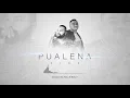 Download Lagu Ratu - Pualena (Audio) ft. Billy T