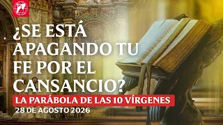 Readings and Homily - 2026