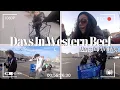 Days In Western Beef Days In My Life Grocery Shopping Vlog