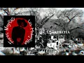 5 Nochecita