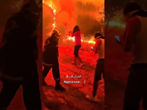 Pray for Algeri🇩🇿❤️‍🩹🥀 # #algeria #الجزائر #fire