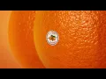 Emotional Oranges - Not Worth It (Audio)