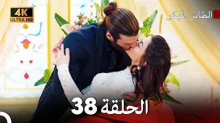 مسلسل الطائر المبكر الحلقة 38 4K Arabic Dubbed 