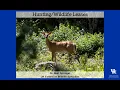Leases