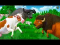 Lagu Sapi dan Kerbau Bersatu Melawan Bison! Pertarungan Hewan di Hutan | Hewan Liar