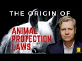 Animal Rights Laws - The Origins of Laws Protecting Animals in the USA and the UK