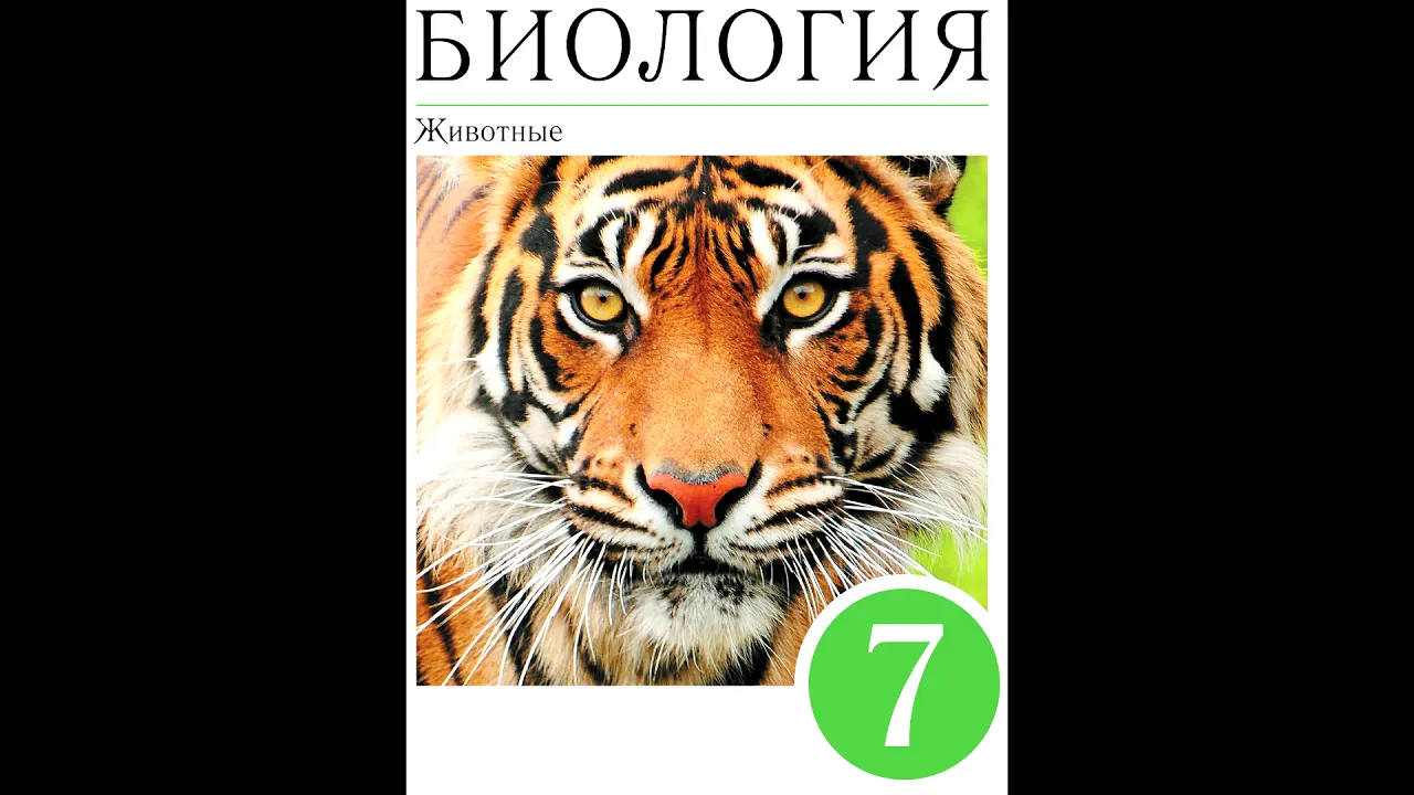 § 37 Опорно-двигательная система