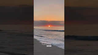 جديد روح البحر فضل شاكر 