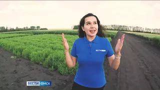 В Омском аграрном научном центре прошел форум «Сохранение традиций на пути к технологиям будущего»