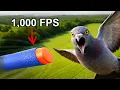 Hunting with the World s Most Powerful NERF Gun