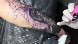 OWL Tattoo Speed Up