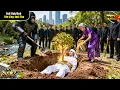Download Lagu Thằng Khờ Bị Chính Em Trai Hại Mất Mạng, Bất Ngờ Trọng Sinh Hóa Tổng Tài Dạy Dỗ Đứa Em Hỗn Láo