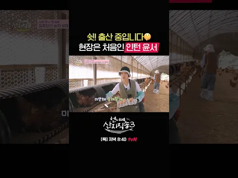 날아다니는 산모들(?) 사이 알 수거하는 윤서🐔 #언니네산지직송3 EP.6