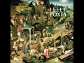 FLEET FOXES - Blue Ridge Mountains
