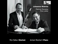 5 Lieder, Op. 105 (Excerpts Arr. for Clarinet & Piano) : No. 1, Wie Melodien zeiht es mir