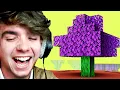 Minecraft But The World Is Corrupted