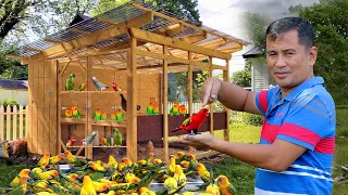 Download 1 Year Ago I Started My Lovebirds Farming Journey, Secret to a successful Lovebird Breeding!! MP3