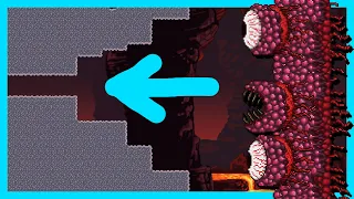 Can The Wall Of Flesh Get INCREDIBLY SMALL In Terraria