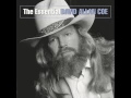 David Allan Coe - If that ain t country