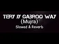 Download Lagu Tera jy Gabru way  Mujra Slow And Reverb Song🎧