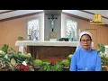 Download Lagu Selasa, 8 Juli 2025. Renungan dan Doa Katolik hari ini. Doa pagi dan sore bersama Sr.M.Angelica, PRR