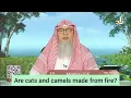 Download Lagu Are cats \u0026 camels made from fire? (Jinns)? - assim al hakeem