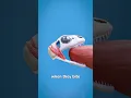 Download Lagu How A Lizard's Bite Locks On 😱