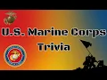 Unleash Your Inner Marine with This Trivia Battle Can You Defeat the Ultimate Quiz