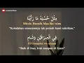 Lagu Lirik Ya Habibana Ali (Latin+Terjemahan) - Ali Abdulqodir Alaydrus ft Nissa Sabyan