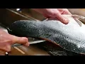 Download Lagu Japans eten - Vis snijdend vaardigheden Zalm, makreel, inktvis sushi Kyoto zeevruchten Japan