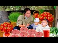 Download Lagu Panen Tomat \u0026 Bawang Daun untuk Dijual ke Pasar | Masak Bubur untuk Anak-Anak
